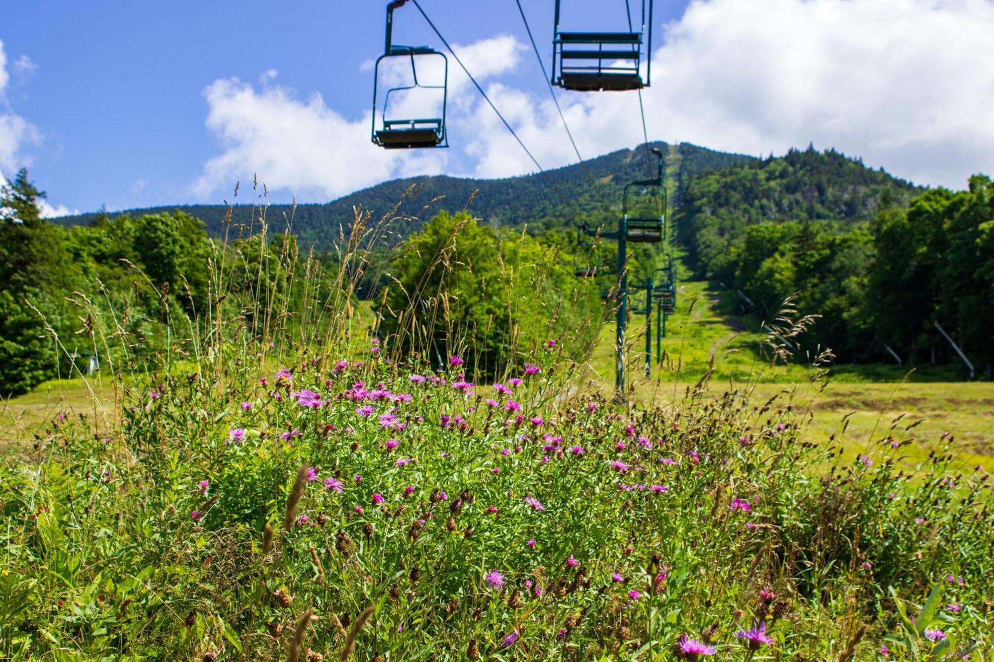 Smugglers' Notch Resort Private Suites Cambridge Dış mekan fotoğraf